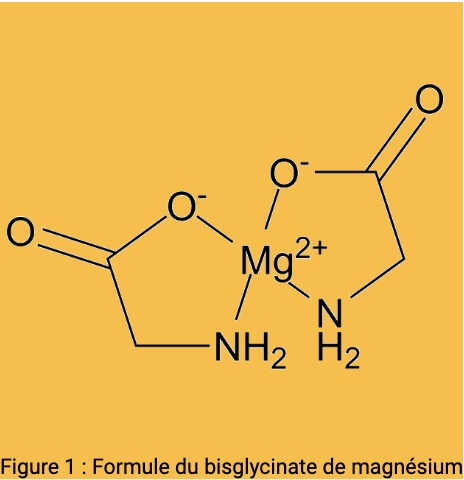 Formule du Bisglycinate de Magnésium 